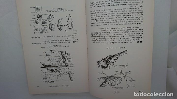 Libros de segunda mano: ELEVAGES DES PETITS ANIMAUX, II, MARCEL SIRE - Foto 7