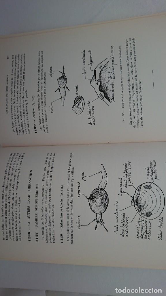 Libros de segunda mano: ELEVAGES DES PETITS ANIMAUX, II, MARCEL SIRE - Foto 8