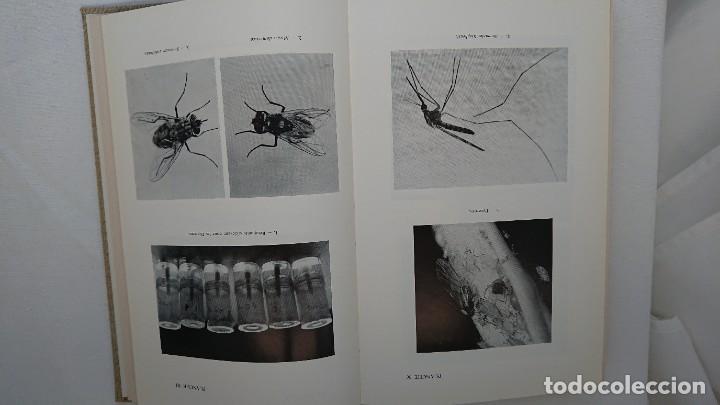 Libros de segunda mano: ELEVAGES DES PETITS ANIMAUX, II, MARCEL SIRE - Foto 10