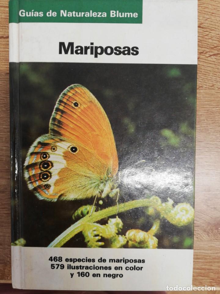 Libros de segunda mano: Mariposas. Dr Helgard Reichholf-Riehm. Blume - Foto 1