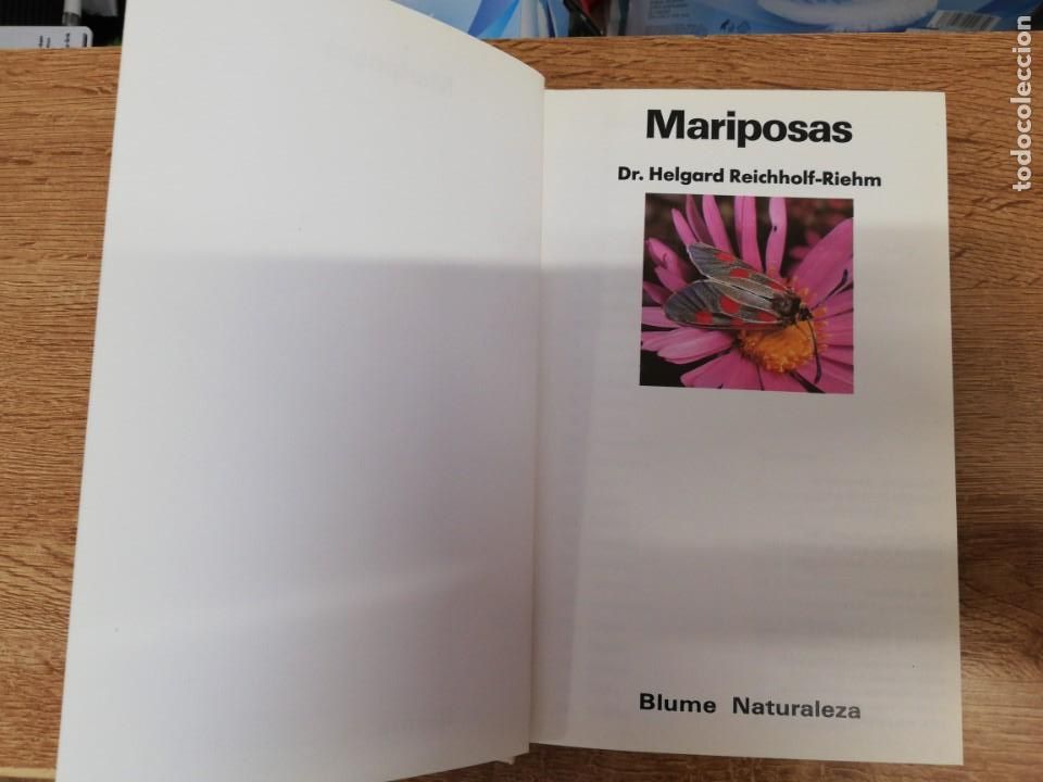 Libros de segunda mano: Mariposas. Dr Helgard Reichholf-Riehm. Blume - Foto 3