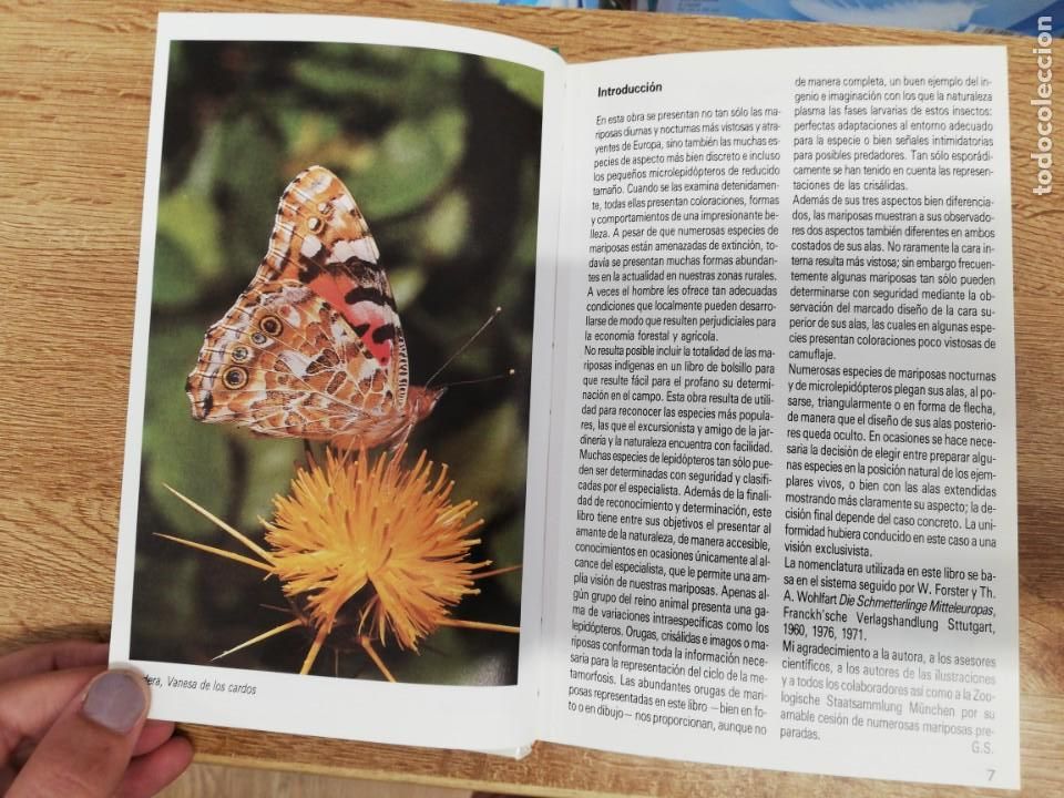 Libros de segunda mano: Mariposas. Dr Helgard Reichholf-Riehm. Blume - Foto 5