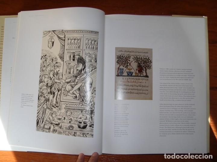 Libros de segunda mano: LIBRO ANCESTROS DE LA ALERGIA IDIOMA INGL&Eacute;S - Foto 2
