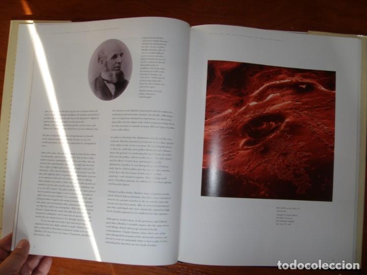 Libros de segunda mano: LIBRO ANCESTROS DE LA ALERGIA IDIOMA INGL&Eacute;S - Foto 4
