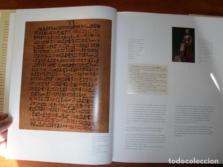 Libros de segunda mano: LIBRO ANCESTROS DE LA ALERGIA IDIOMA INGL&Eacute;S - Foto 11