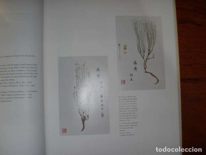 Libros de segunda mano: LIBRO ANCESTROS DE LA ALERGIA IDIOMA INGL&Eacute;S - Foto 12