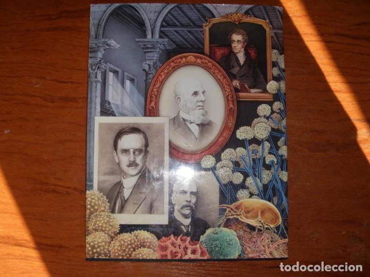 Libros de segunda mano: LIBRO ANCESTROS DE LA ALERGIA IDIOMA INGL&Eacute;S - Foto 13
