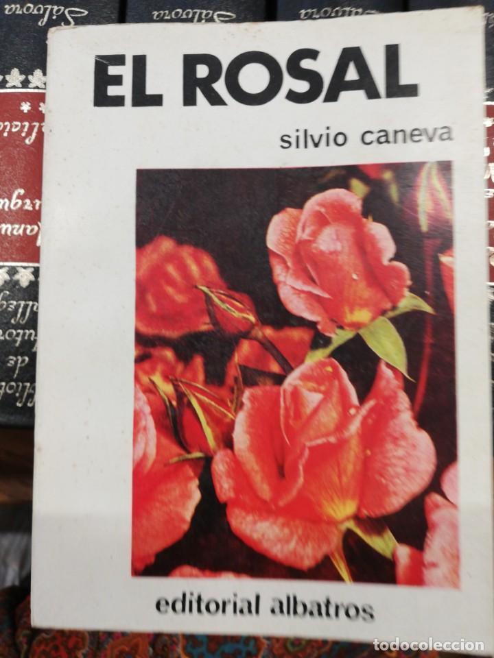 Libros de segunda mano: El rosal. Silvio Caneva - Foto 1