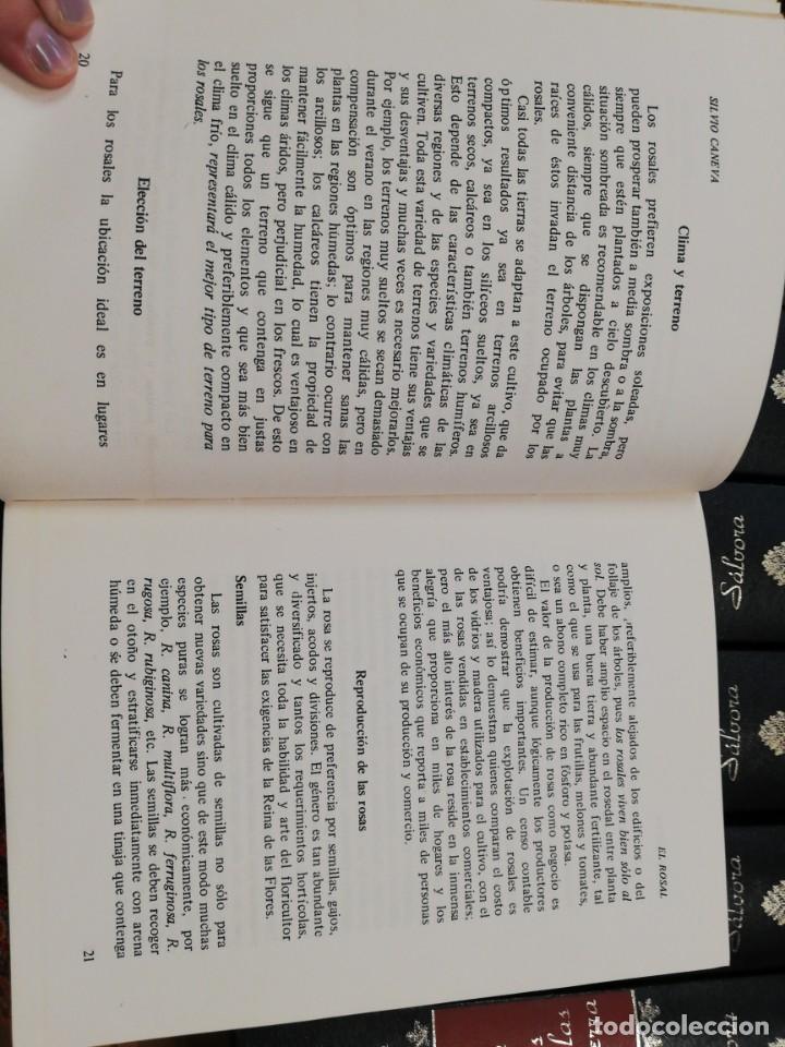 Libros de segunda mano: El rosal. Silvio Caneva - Foto 4
