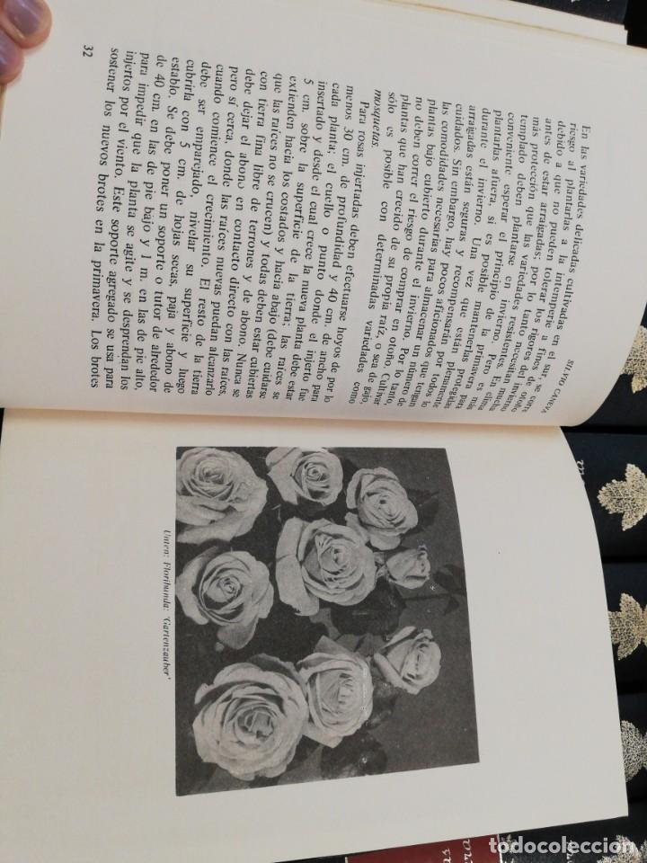 Libros de segunda mano: El rosal. Silvio Caneva - Foto 5