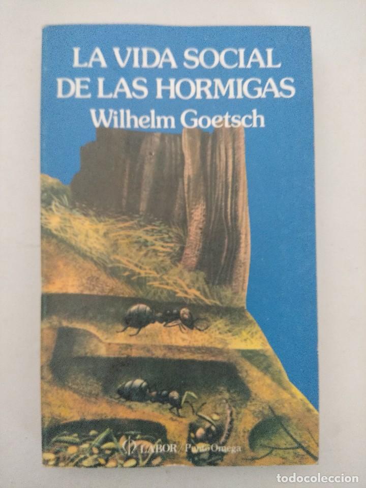 Libros de segunda mano: LIBRO/LA VIDA SOCIAL DE LAS HORMIGAS/WILHELM GOETSCH. - Foto 1