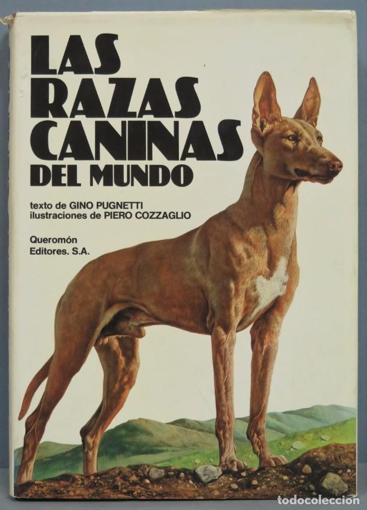 Libros de segunda mano: LAS RAZAS CANINAS DEL MUNDO. VV.AA - Foto 1