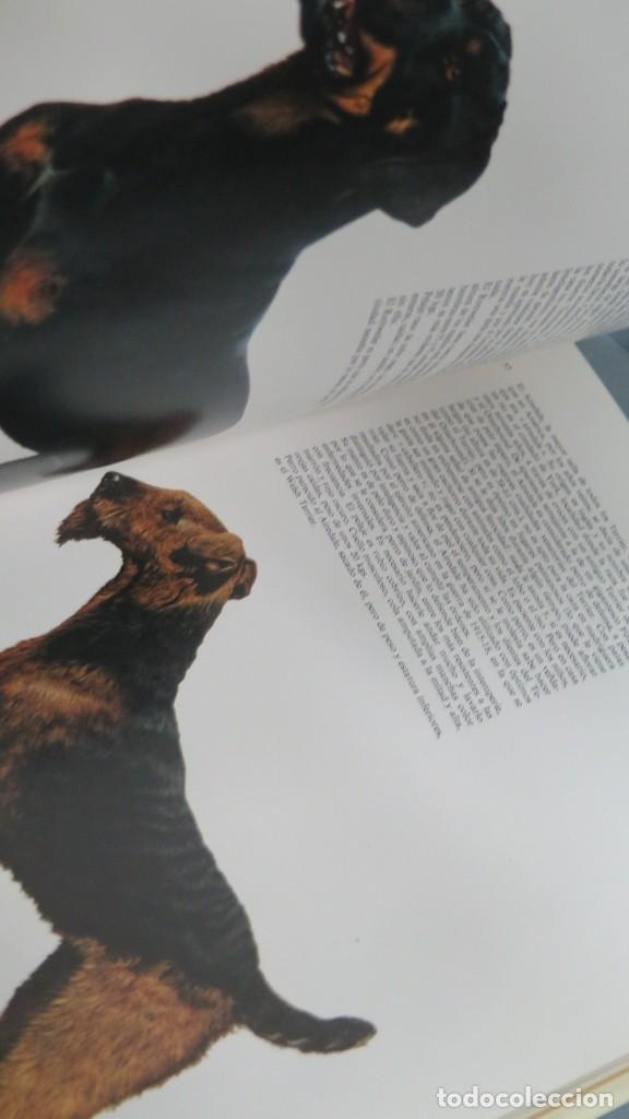 Libros de segunda mano: LAS RAZAS CANINAS DEL MUNDO. VV.AA - Foto 2