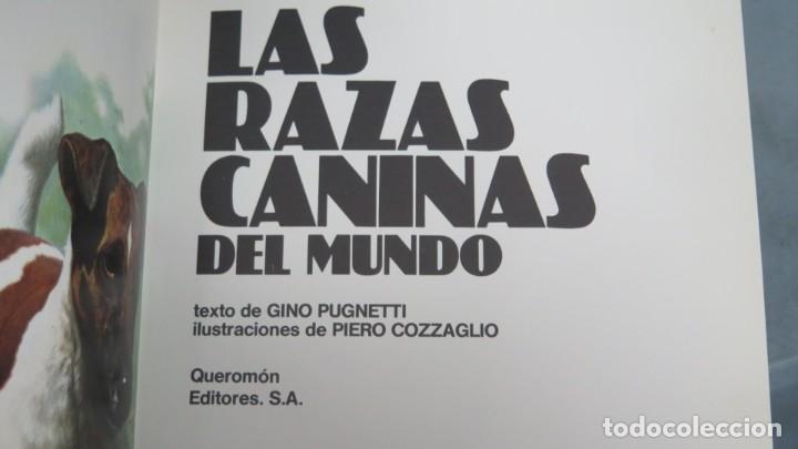 Libros de segunda mano: LAS RAZAS CANINAS DEL MUNDO. VV.AA - Foto 3