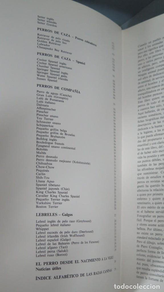 Libros de segunda mano: LAS RAZAS CANINAS DEL MUNDO. VV.AA - Foto 6