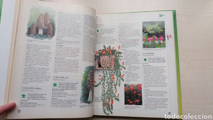 Libros de segunda mano: El libro de oro de las plantas y los jardines. ABC, 1995. - Foto 5