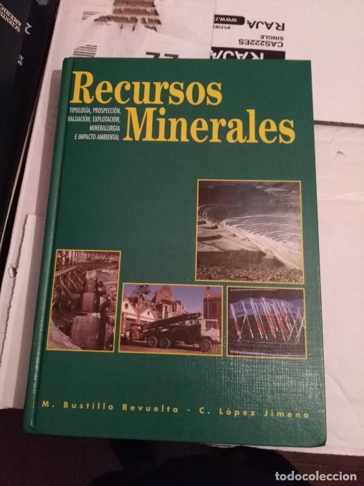 Libros de segunda mano: Recursos Minerales - Bustillo y L&oacute;pez Jimeno - Foto 1