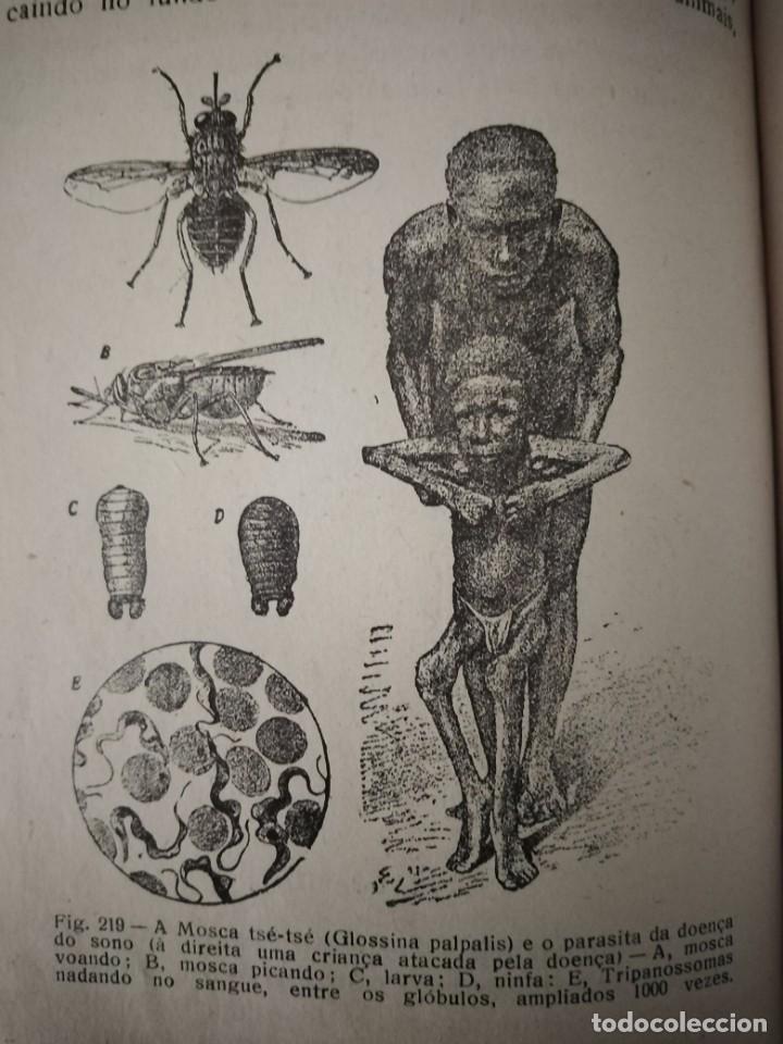 Libros de segunda mano: Compendio de Zoolog&iacute;a. Augusto Soeiro. Porto 1952. - Foto 5