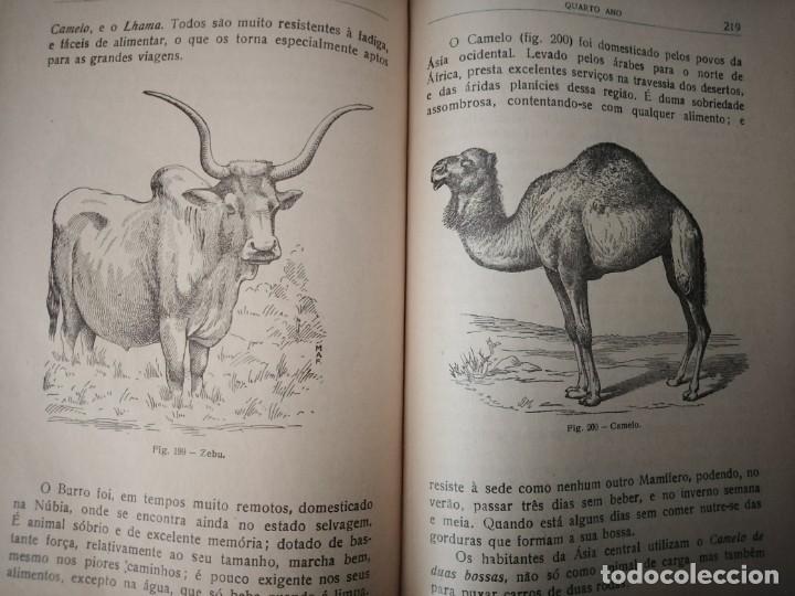 Libros de segunda mano: Compendio de Zoolog&iacute;a. Augusto Soeiro. Porto 1952. - Foto 6