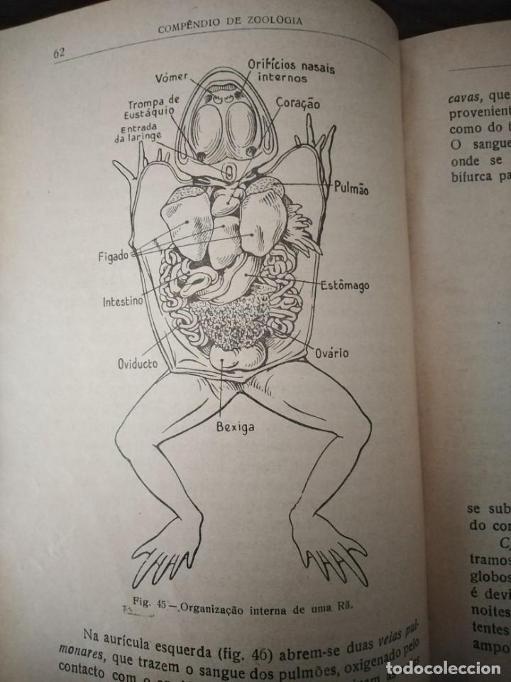 Libros de segunda mano: Compendio de Zoolog&iacute;a. Augusto Soeiro. Porto 1952. - Foto 7