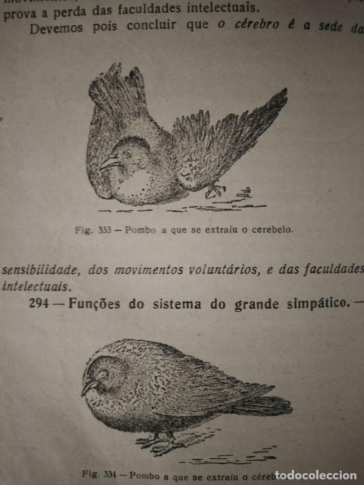 Libros de segunda mano: Compendio de Zoolog&iacute;a. Augusto Soeiro. Porto 1952. - Foto 8