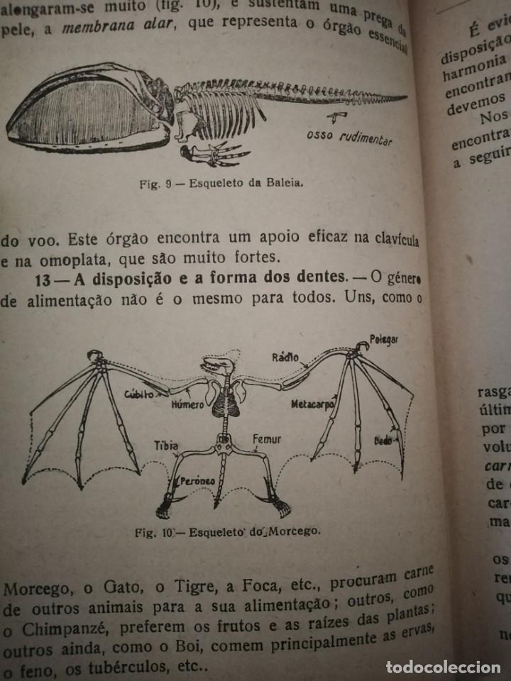 Libros de segunda mano: Compendio de Zoolog&iacute;a. Augusto Soeiro. Porto 1952. - Foto 12