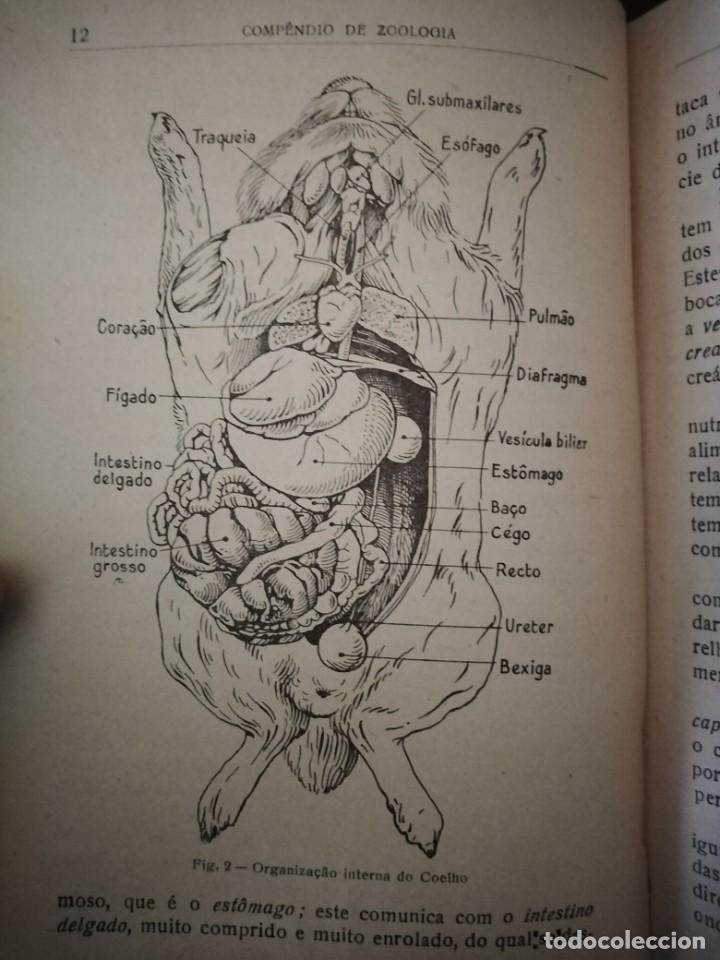 Libros de segunda mano: Compendio de Zoolog&iacute;a. Augusto Soeiro. Porto 1952. - Foto 13