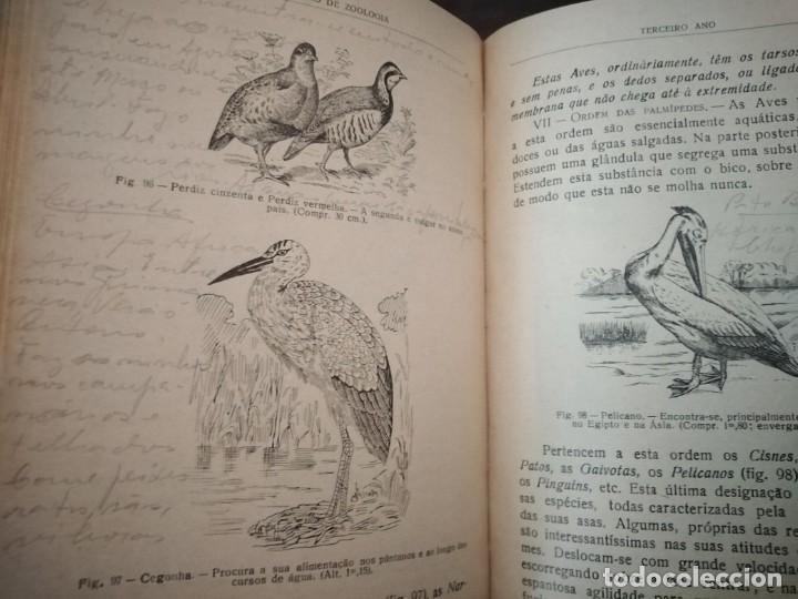 Libros de segunda mano: Compendio de Zoolog&iacute;a. Augusto Soeiro. Porto 1952. - Foto 15