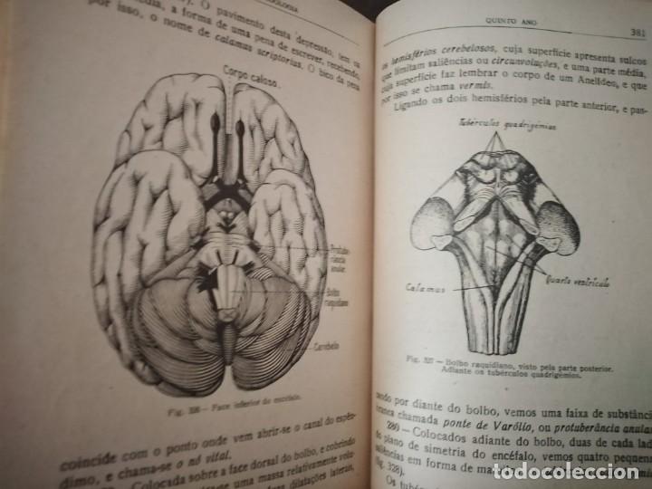 Libros de segunda mano: Compendio de Zoolog&iacute;a. Augusto Soeiro. Porto 1952. - Foto 16
