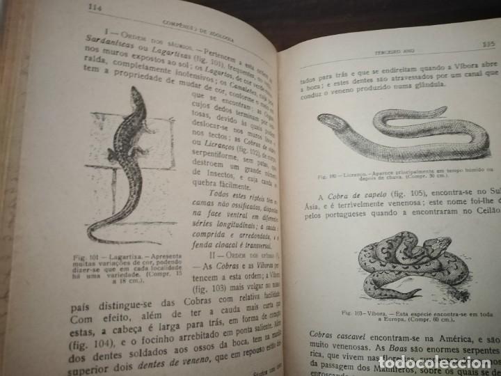 Libros de segunda mano: Compendio de Zoolog&iacute;a. Augusto Soeiro. Porto 1952. - Foto 19