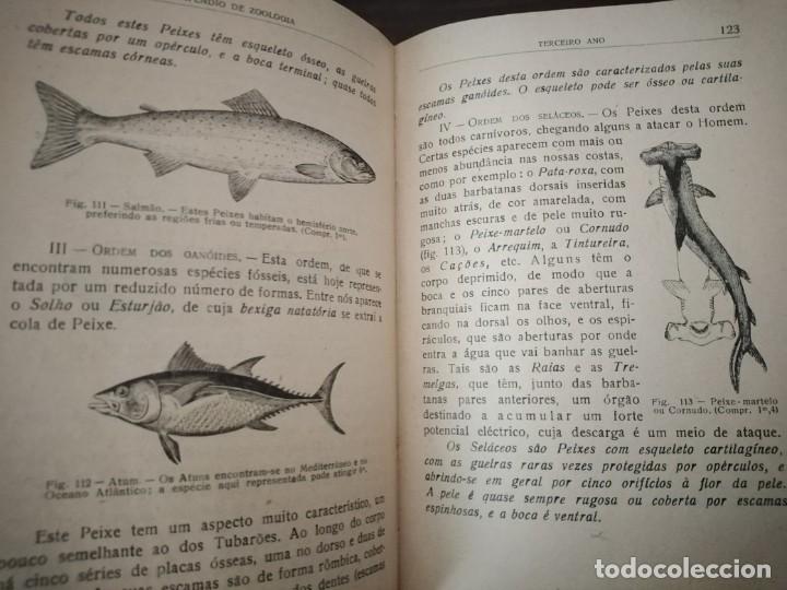 Libros de segunda mano: Compendio de Zoolog&iacute;a. Augusto Soeiro. Porto 1952. - Foto 20