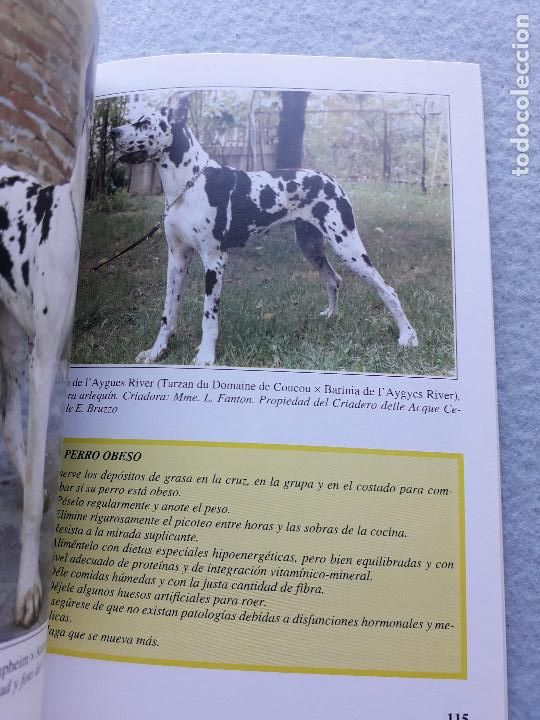 Libros de segunda mano: El Dogo Alem&aacute;n. Marina Salmoiraghi. - Foto 4