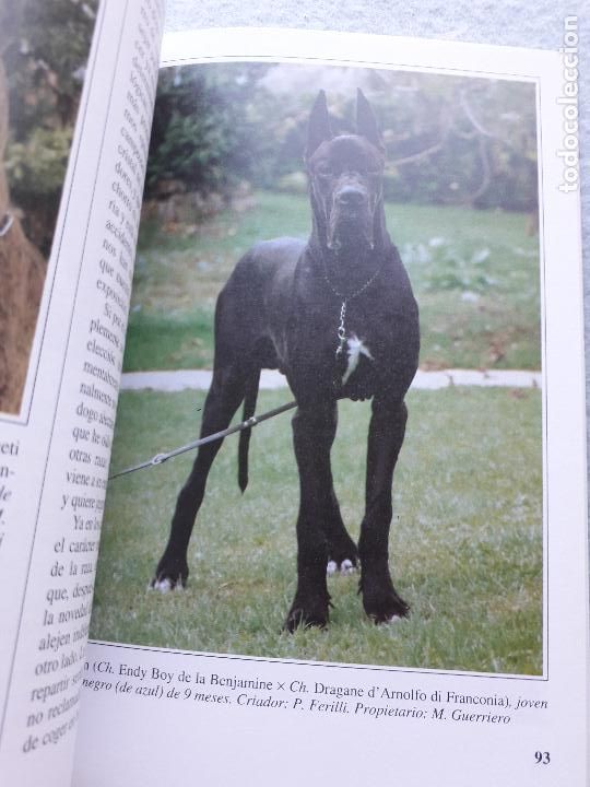 Libros de segunda mano: El Dogo Alem&aacute;n. Marina Salmoiraghi. - Foto 6