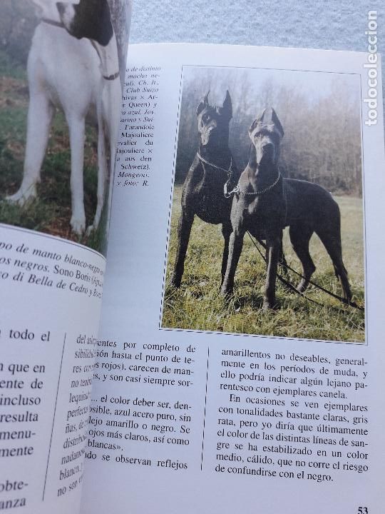 Libros de segunda mano: El Dogo Alem&aacute;n. Marina Salmoiraghi. - Foto 7