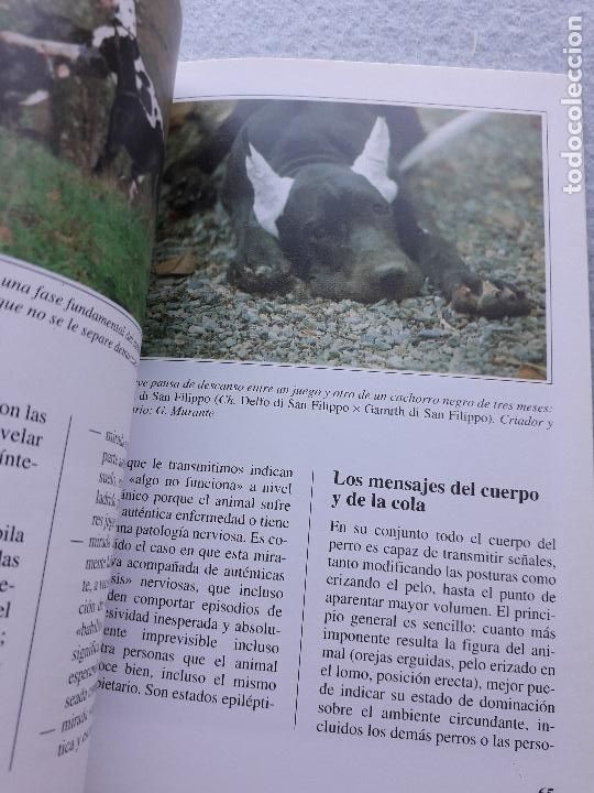 Libros de segunda mano: El Dogo Alem&aacute;n. Marina Salmoiraghi. - Foto 8