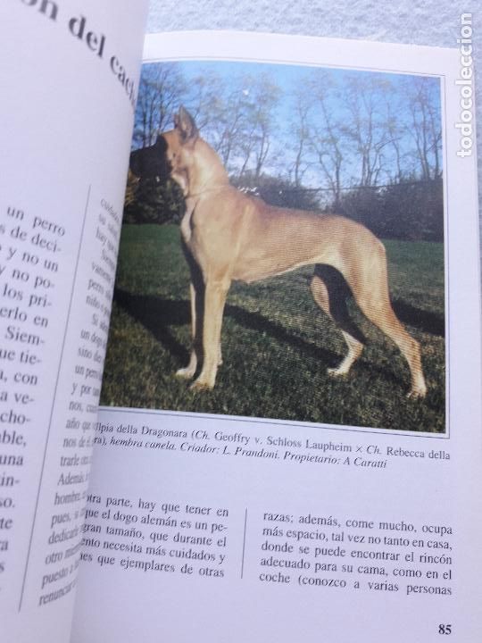 Libros de segunda mano: El Dogo Alem&aacute;n. Marina Salmoiraghi. - Foto 9