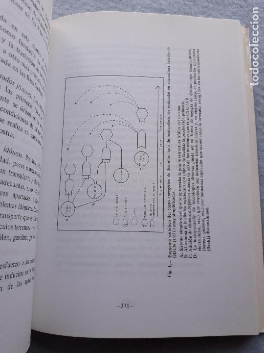 Libros de segunda mano: Estudio y explotaci&oacute;n del mar en Galicia. - Foto 5