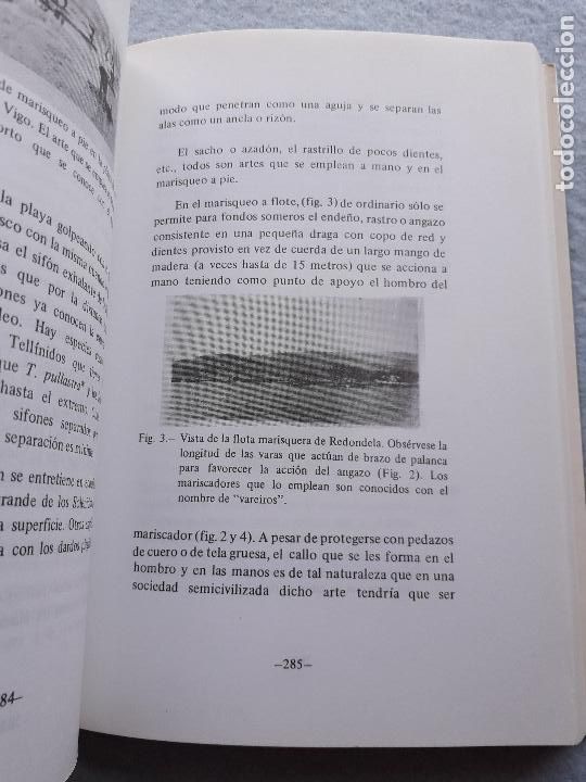 Libros de segunda mano: Estudio y explotaci&oacute;n del mar en Galicia. - Foto 6