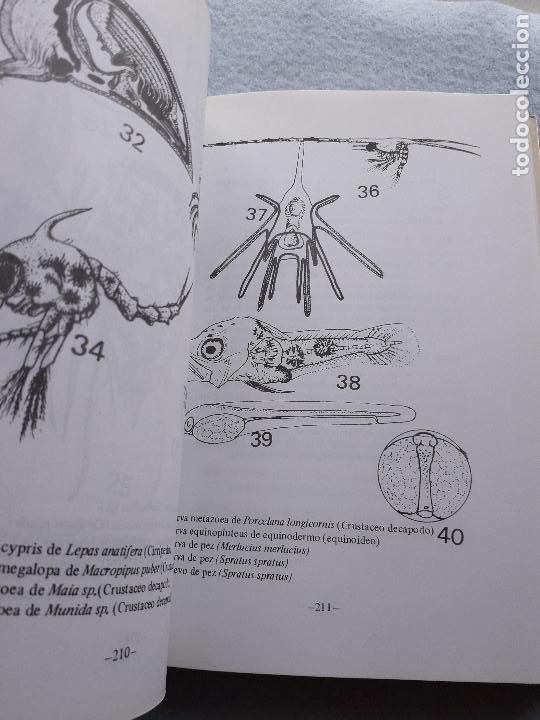 Libros de segunda mano: Estudio y explotaci&oacute;n del mar en Galicia. - Foto 7