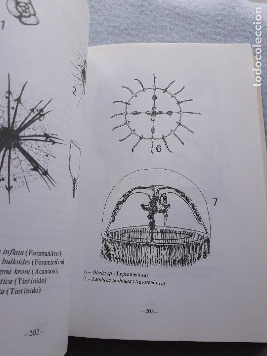 Libros de segunda mano: Estudio y explotaci&oacute;n del mar en Galicia. - Foto 9
