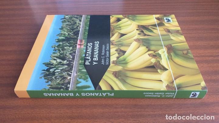 Libros de segunda mano: Pl&aacute;tanos y bananas --- Robinson, Gal&aacute;n - Foto 2
