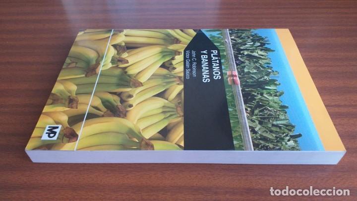 Libros de segunda mano: Pl&aacute;tanos y bananas --- Robinson, Gal&aacute;n - Foto 6