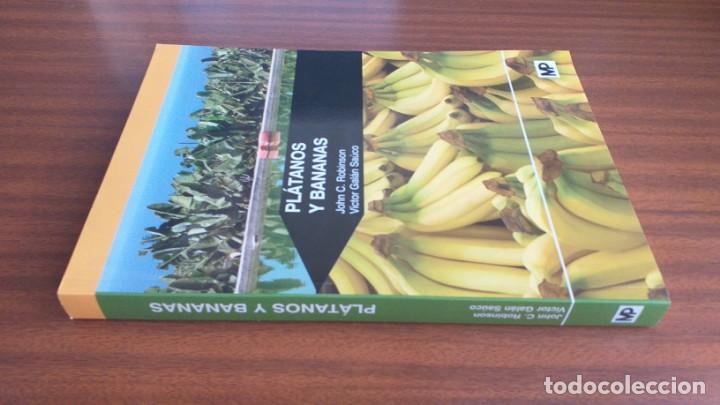 Libros de segunda mano: Pl&aacute;tanos y bananas --- Robinson, Gal&aacute;n - Foto 2