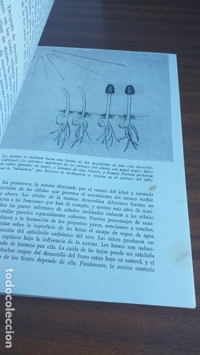 Libros de segunda mano: Los relojes vivientes --- R. R. Ward - Foto 13