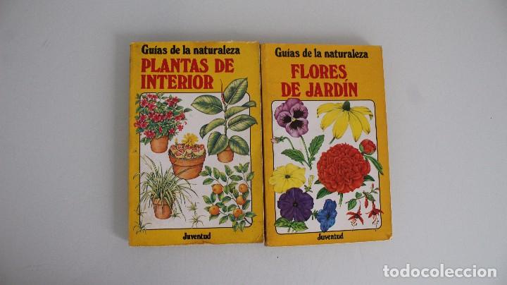 Libros de segunda mano: GU&Iacute;AS DE LA NATURALEZA PLANTAS DE INTERIOR - FLORES DEL JARD&Iacute;N EDITORIAL JUVENTUD