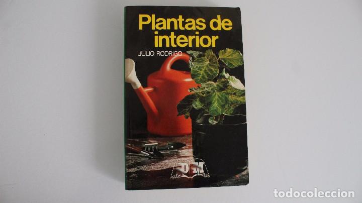 Libros de segunda mano: PLANTAS DE INTERIOR JULIO RODRIGO DM 1992 - Foto 1