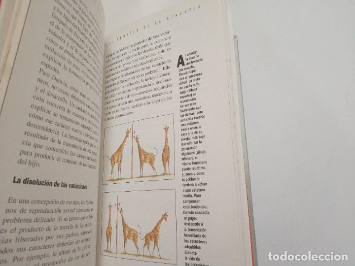 Libros de segunda mano: LA EVOLUCION.- CHARLES LENAY - Foto 3
