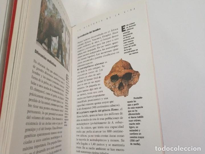 Libros de segunda mano: LA EVOLUCION.- CHARLES LENAY - Foto 5