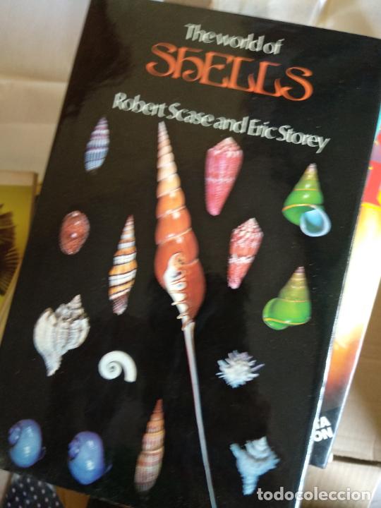 Libros de segunda mano: World of Shells Storey, Eric,Scase, Robert - Foto 1