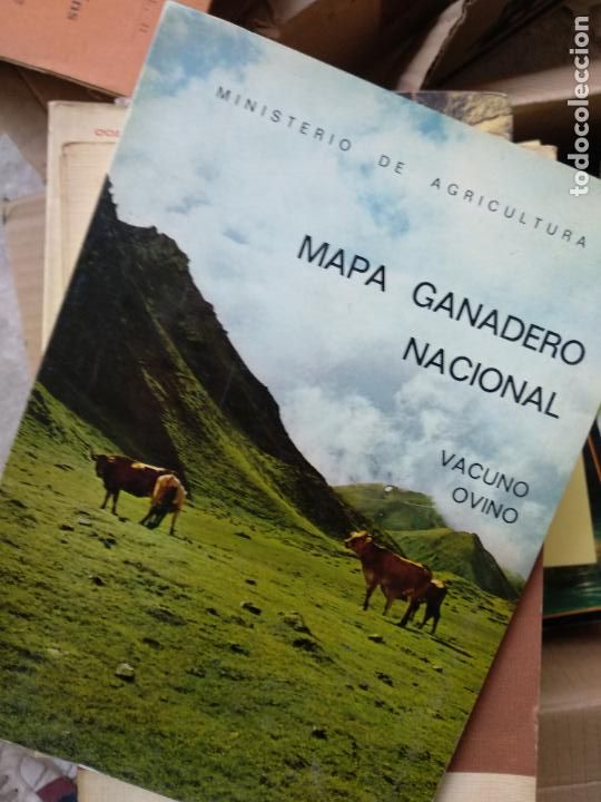Libros de segunda mano: Mapa ganadero nacional. Vacuno y Ovino - Foto 1